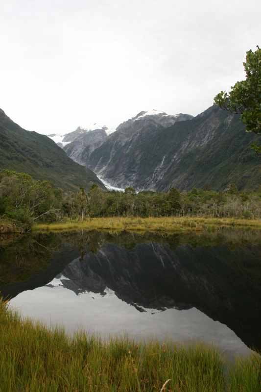 Nieuw-Zeeland 2011 - 1418
